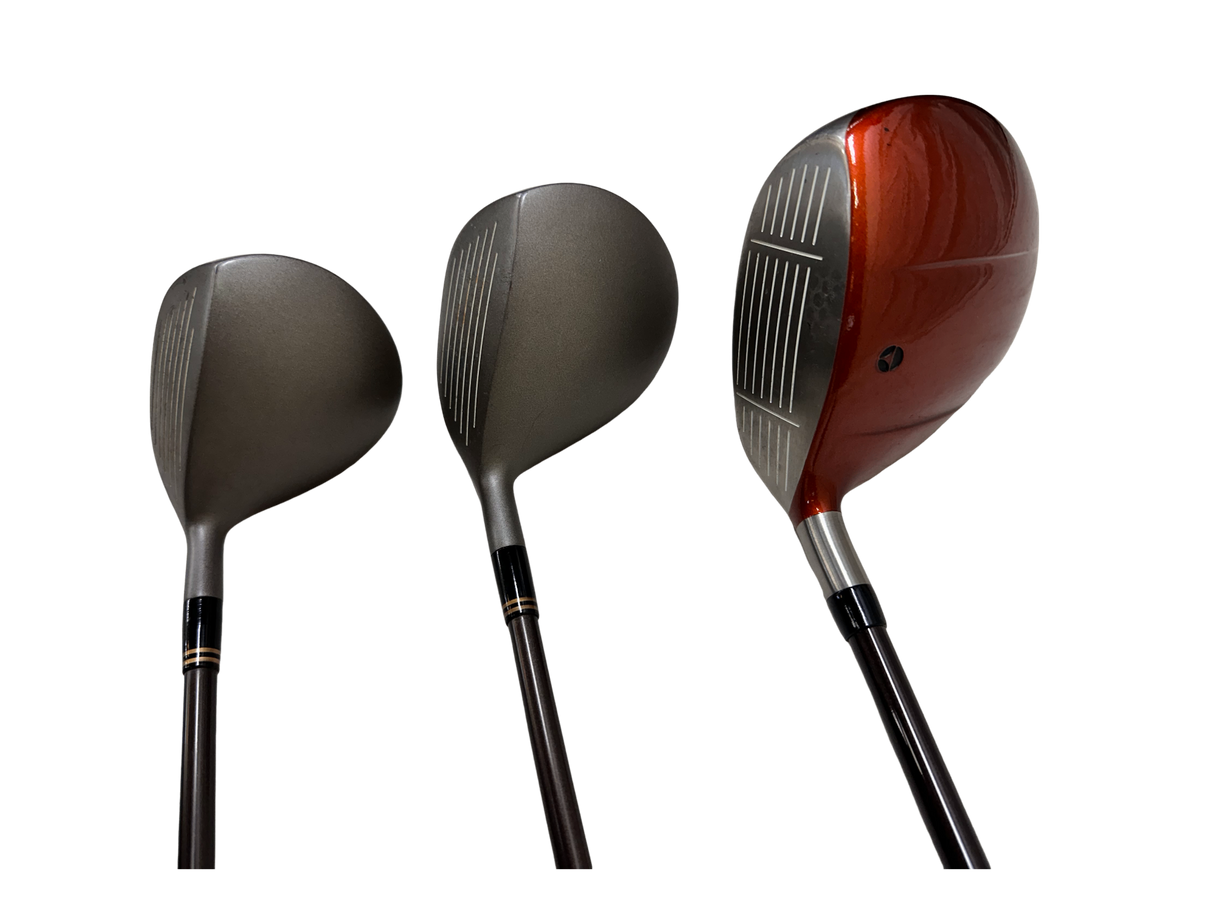 テイラーメイド&本間ゴルフ他 メンズ初心者向け13本+キャディバッグセット